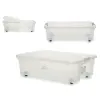 Коробка для хранения с колесами 30 L 40 x 18 x 59,5 cm (14 штук)