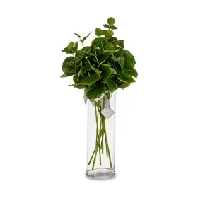 Zars Ibergarden Zaļš Plastmasa 75 cm Loksnes (12 gb.)