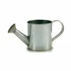 Planter Ibergarden Silver Zinc Watering Can 24,5 x 11 x 11 cm (24 Units)