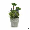 Decorative Plant Ibergarden Cork Ceramic Plastic Flowers Field 10 x 25 x 10 cm (12 Units)