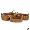 Set of Baskets Gift Decor Brown Marine algae 750 ml 1,5 L 3 L With handles (4 Units)
