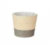 Kasvit Ibergarden Harmaa Köysi Muovinen 19,5 x 16,5 x 19,5 cm (24 osaa)