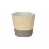 Kasvit Ibergarden Harmaa Köysi Muovinen 14 x 12,5 x 14 cm 14 x 13 x 14 cm (24 osaa)