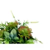 Dekoratīvs Augs Ibergarden Plastmasa Vīnaglāze 25 x 36 x 25 cm (4 gb.)