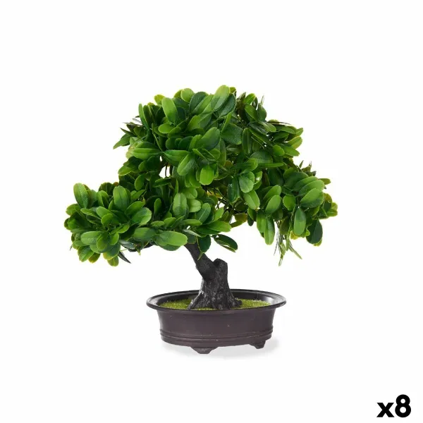 Dekoratīvs Augs Ibergarden Plastmasa Banzai 27 x 28 x 14 cm (8 gb.)