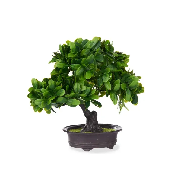 Dekoratīvs Augs Ibergarden Plastmasa Banzai 27 x 28 x 14 cm (8 gb.)