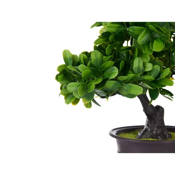 Dekoratyvinis augalas Ibergarden Plastmasinis Bonzai 27 x 28 x 14 cm (8 vnt.)