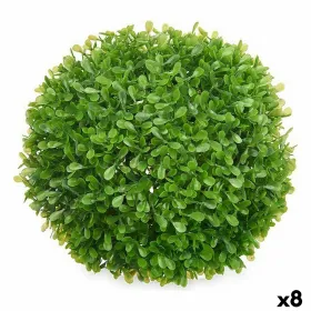 Dekoratīvs Augs Ibergarden Plastmasa Loksnes Чаша 22 x 22 x 22 cm (8 gb.)