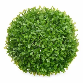 Dekoratīvs Augs Ibergarden Plastmasa Loksnes Чаша 22 x 22 x 22 cm (8 gb.)