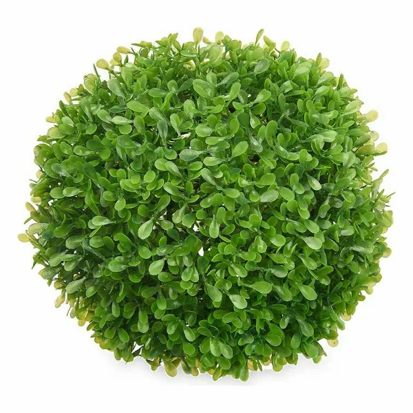 Dekoratīvs Augs Ibergarden Plastmasa Loksnes Чаша 22 x 22 x 22 cm (8 gb.)