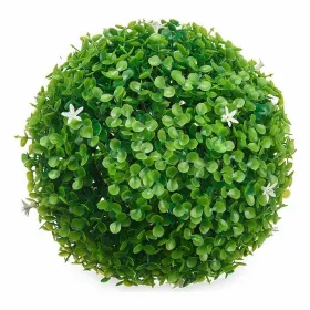 Dekoratīvs Augs Ibergarden Plastmasa Цветы Loksnes Чаша 22 x 22 x 22 cm (8 gb.)