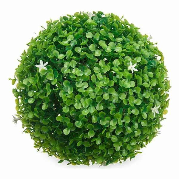 Dekoratīvs Augs Ibergarden Plastmasa Цветы Loksnes Чаша 22 x 22 x 22 cm (8 gb.)