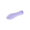 Bullet Vibrator Evolved Purple