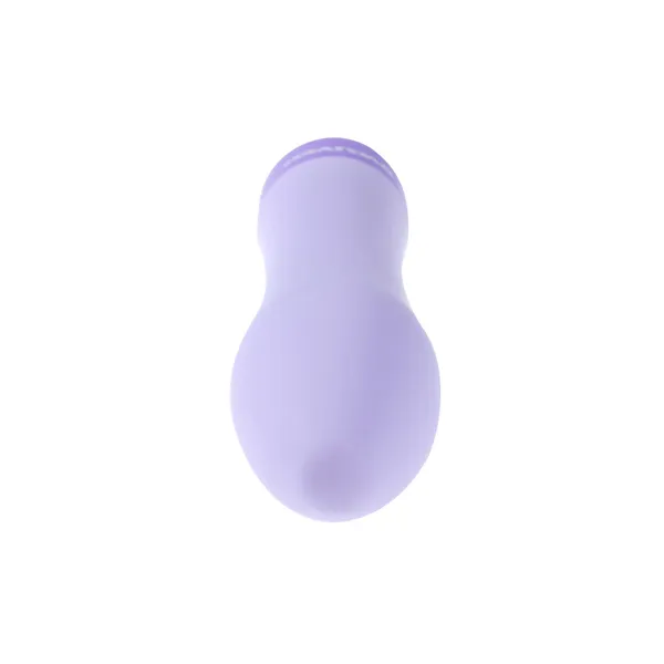 Bullet Vibrator Evolved Purple