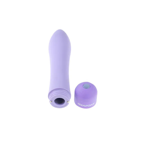 Bullet Vibrator Evolved Purple