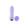 Bullet Vibrator Evolved Purple