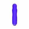 Mini-Vibrator Adam & Eve Diamond Darling Purple