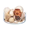 Koristeellinen potpourri Gift Decor Valkoinen Ruskea 19 x 40 x 14 cm (8 osaa)