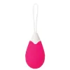 Bullet Vibrator Evolved Pink