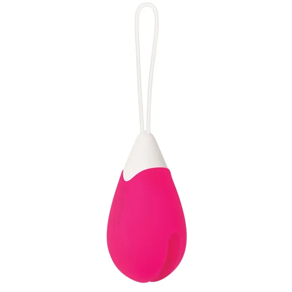Bullet Vibrator Evolved Pink