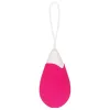 Bullet Vibrator Evolved Pink