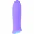 Bullet Vibrator Evolved Purple
