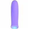 Bullet Vibrator Evolved Purple