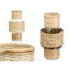 Svečturis Gift Decor Caurspīdīgs Dabisks Stikls Rotangpalma 15,5 x 31 x 15,5 cm (6 gb.)