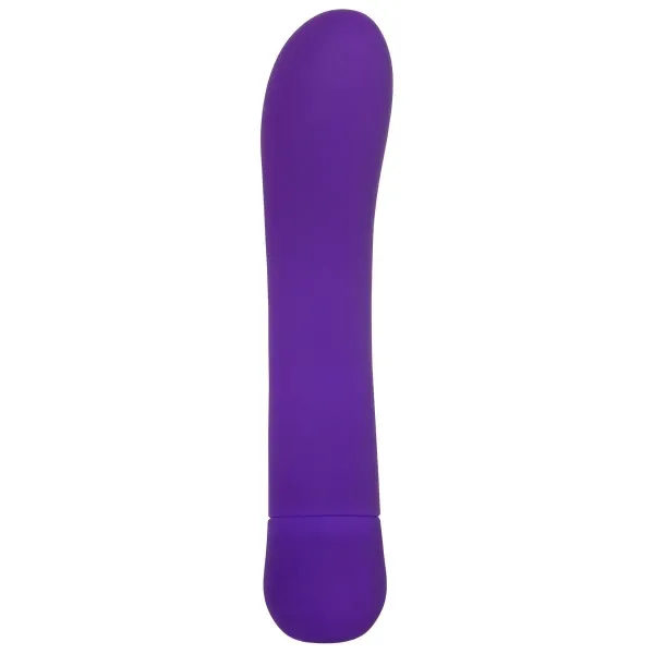 G-Spot Vibrator Adam & Eve Purple