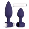 Anal plug Evolved Dynamic Duo Purple