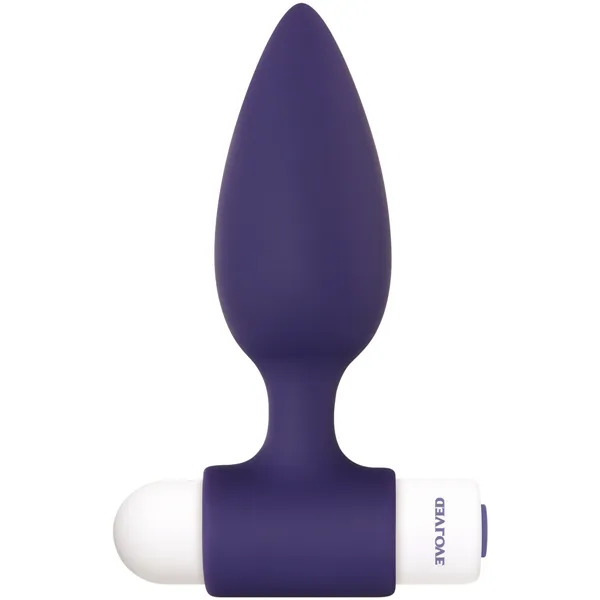 Anal plug Evolved Dynamic Duo Purple