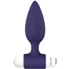 Anal plug Evolved Dynamic Duo Purple