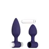 Anal plug Evolved Dynamic Duo Purple