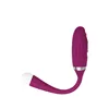 Bullet Vibrator Adam & Eve Purple