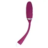 Bullet Vibrator Adam & Eve Purple