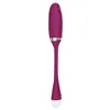 Bullet Vibrator Adam & Eve Purple