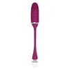 Bullet Vibrator Adam & Eve Purple