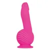 Bullet Vibrator Evolved Pink