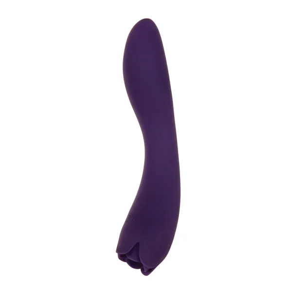 Vibrator Evolved Purple