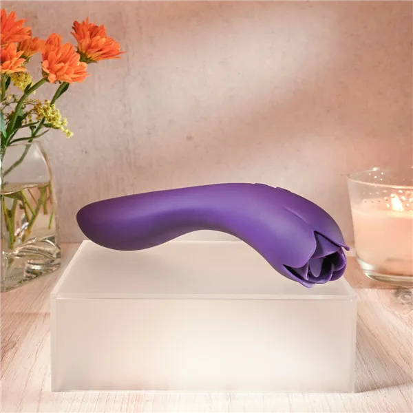 Vibrator Evolved Purple