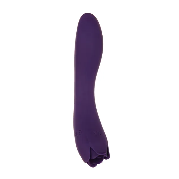 Vibrator Evolved Purple