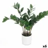 Koristekasvi Ibergarden ZAMIOCULCA Polyetyleeni Melamiini 53 x 55 x 53 cm (6 osaa)