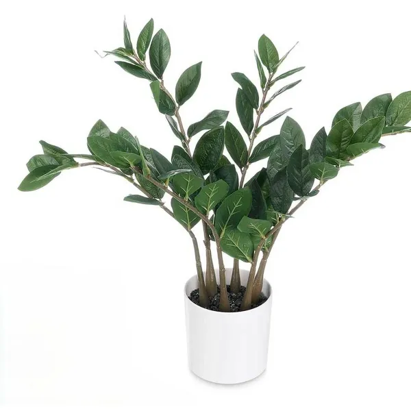 Dekoratyvinis augalas Ibergarden ZAMIOCULCA Polietilenas Melaminas 53 x 55 x 53 cm (6 vnt.)