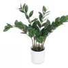 Koristekasvi Ibergarden ZAMIOCULCA Polyetyleeni Melamiini 53 x 55 x 53 cm (6 osaa)