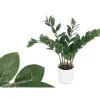 Koristekasvi Ibergarden ZAMIOCULCA Polyetyleeni Melamiini 53 x 55 x 53 cm (6 osaa)