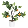 Koristekasvi Ibergarden Vaahto Polyetyleeni Melamiini 40 x 58 x 38 cm (6 osaa)