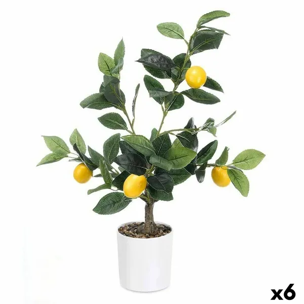 Koristekasvi Ibergarden Vaahto Polyetyleeni Melamiini Sitruunapuu 40 x 58 x 38 cm (6 osaa)