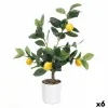 Koristekasvi Ibergarden Vaahto Polyetyleeni Melamiini Sitruunapuu 40 x 58 x 38 cm (6 osaa)