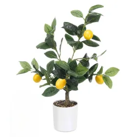 Dekoratīvs Augs Ibergarden Putas Polietilēns Melamīna Citronkoks 40 x 58 x 38 cm (6 gb.)