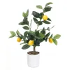 Koristekasvi Ibergarden Vaahto Polyetyleeni Melamiini Sitruunapuu 40 x 58 x 38 cm (6 osaa)